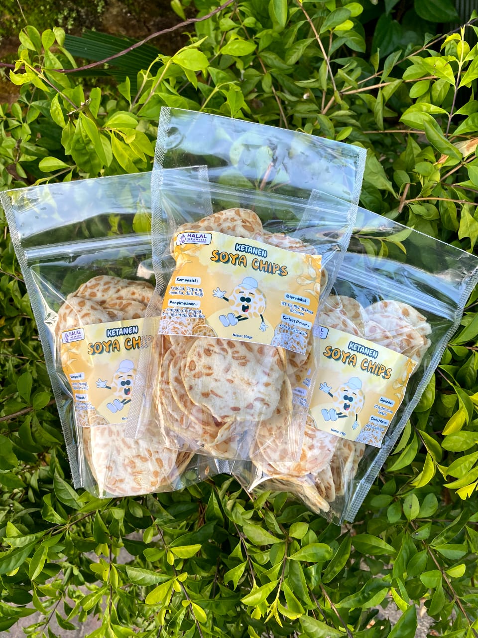 Ketanen Soya Chips 